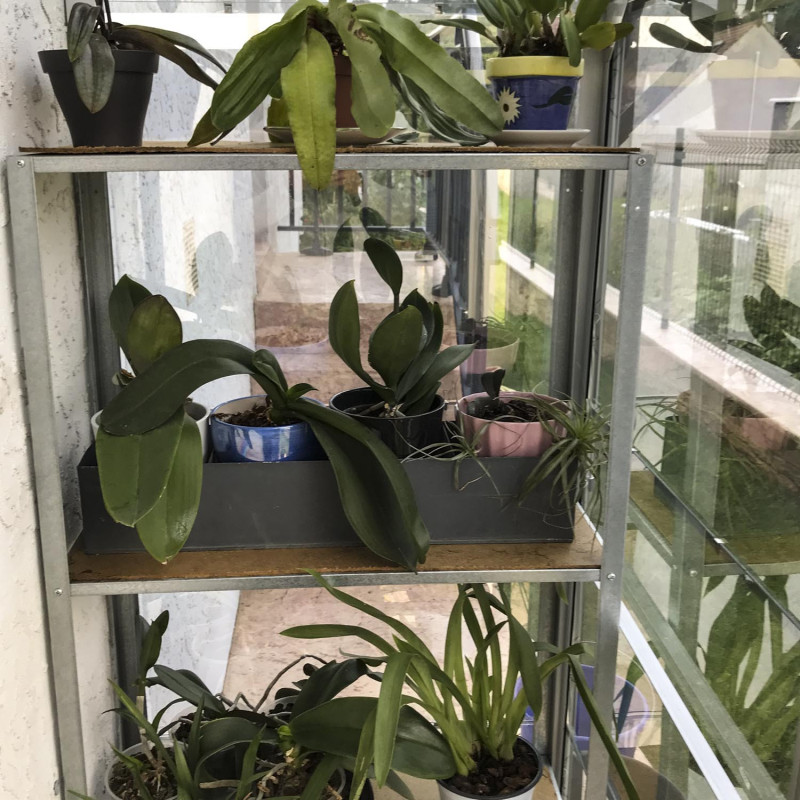 Serre MÉLISSA 1,30 m²
