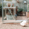 Serre LAURUS 12,90 m² Coloris:Gris anthracite - RAL 7016 Coloris:Gris anthracite - RAL 7016